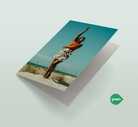 Eco-Friendly Greeting Cards Green Greetings Cards